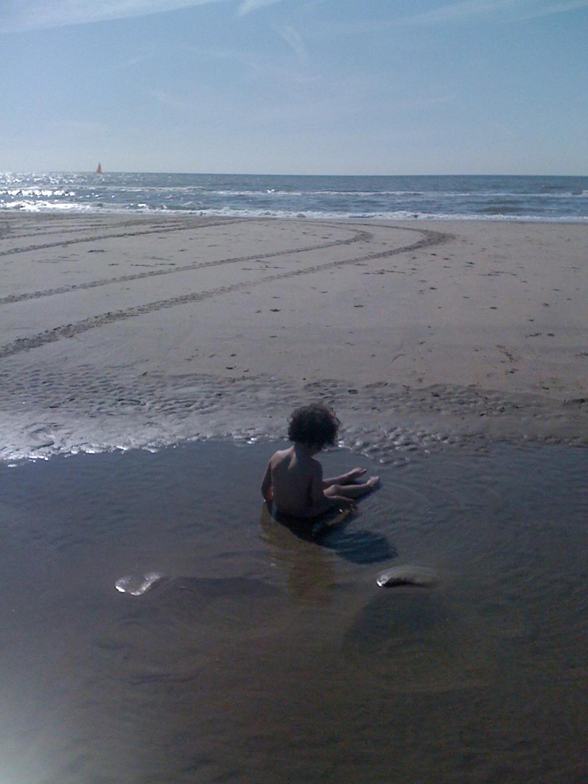 Beach Rose, 1 Free Parking, 2 Min. From Beach, Jacuzzi Noordwijk Eksteriør bilde